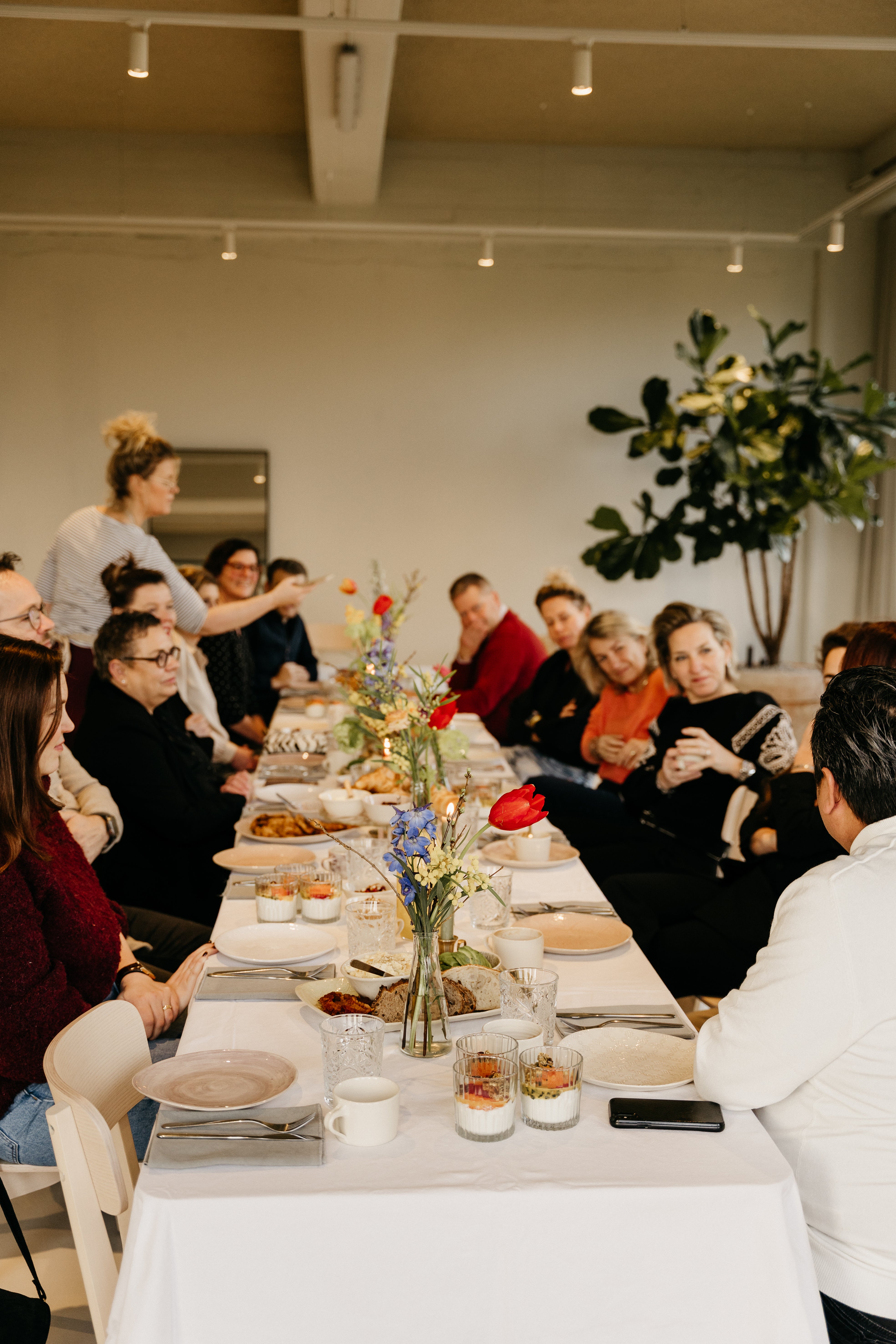 Volt Community | lidmaatschap